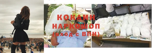 гашик Магас